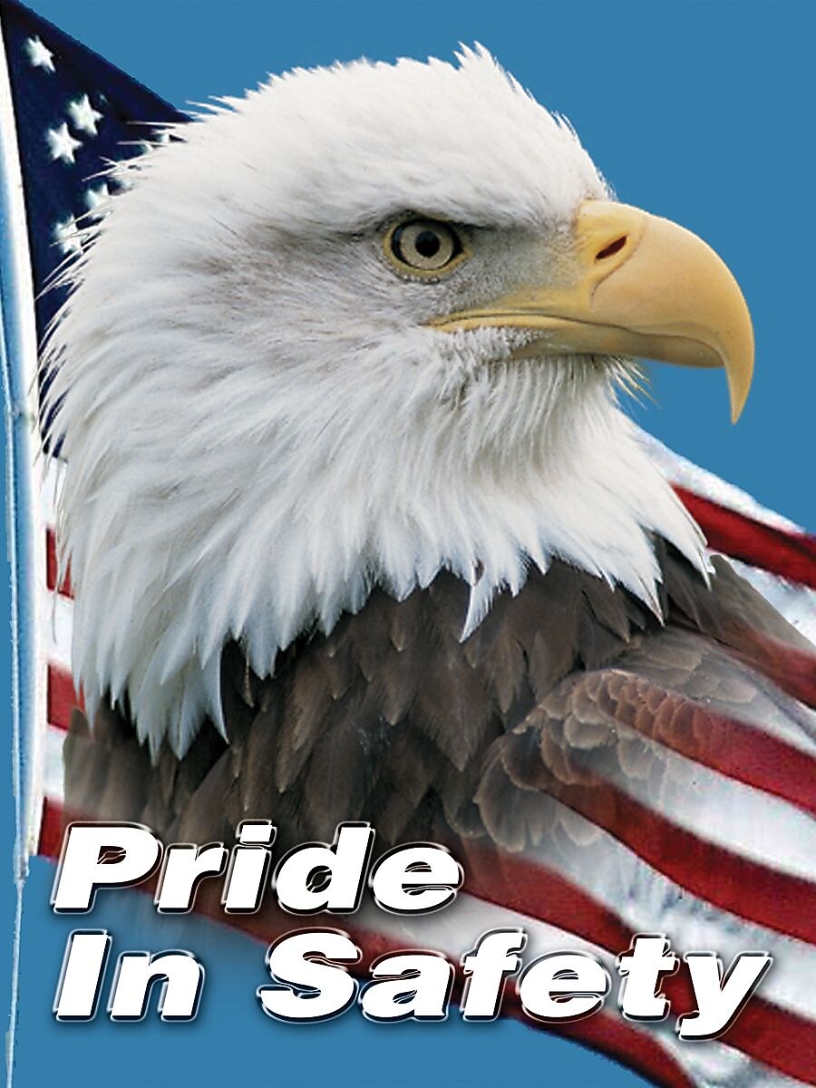 Accuform Signs® Safety Poster, PRIDE IN SAFETY, 24" x 18", Laminated Flexible Plastic, Each