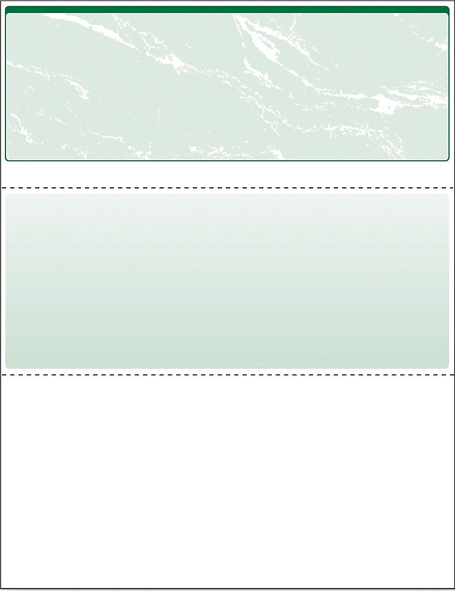 Paris DocuGard Standard 8.5" x 11" Business Security Check On Top, 24 lbs., Green, 500 Sheets/Ream, 2500/Carton (04502P)
