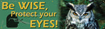 Accuform Motivational Safety Banner, BE WISE, PROTECT YOUR EYES!, 28" x 8', Reinforced Vinyl (MBR806)
