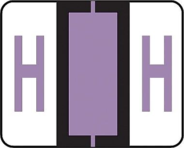 Medical Arts Press® TAB® Products Compatible Alpha Sheet Style Labels, Letter N