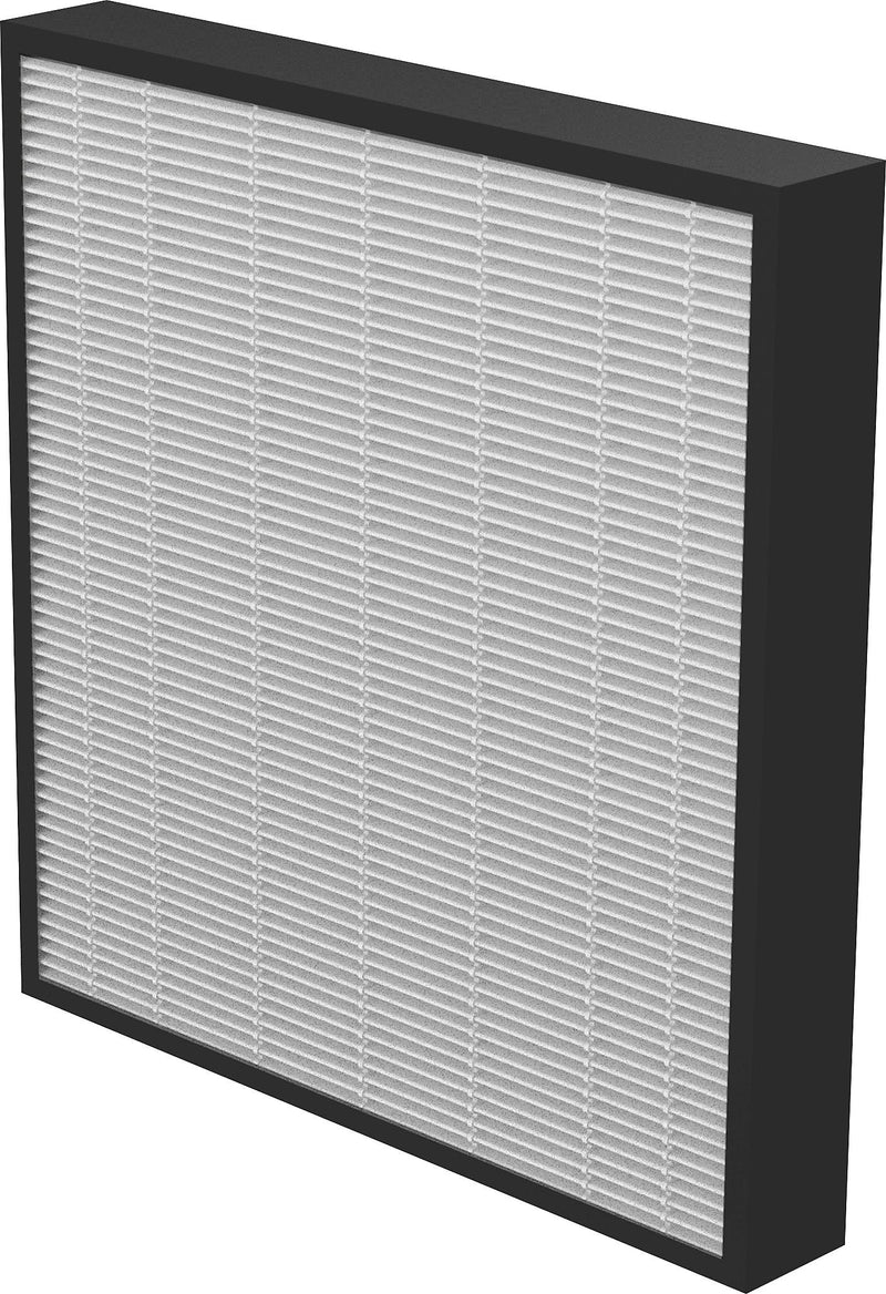 Fellowes AeraMax Pro AM3/AM4 True HEPA Air Purifier Filter, 2", 2/Pack (9416602)