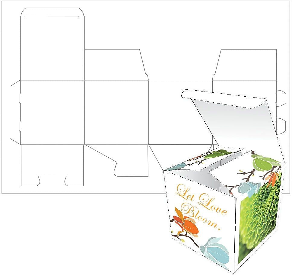 Blanks USA Small Box, 2.5" x 2.5" x 2.5", 14 pt
