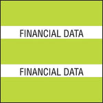 Medical Arts Press® Large Chart Divider Tabs, Financial Data, Lime