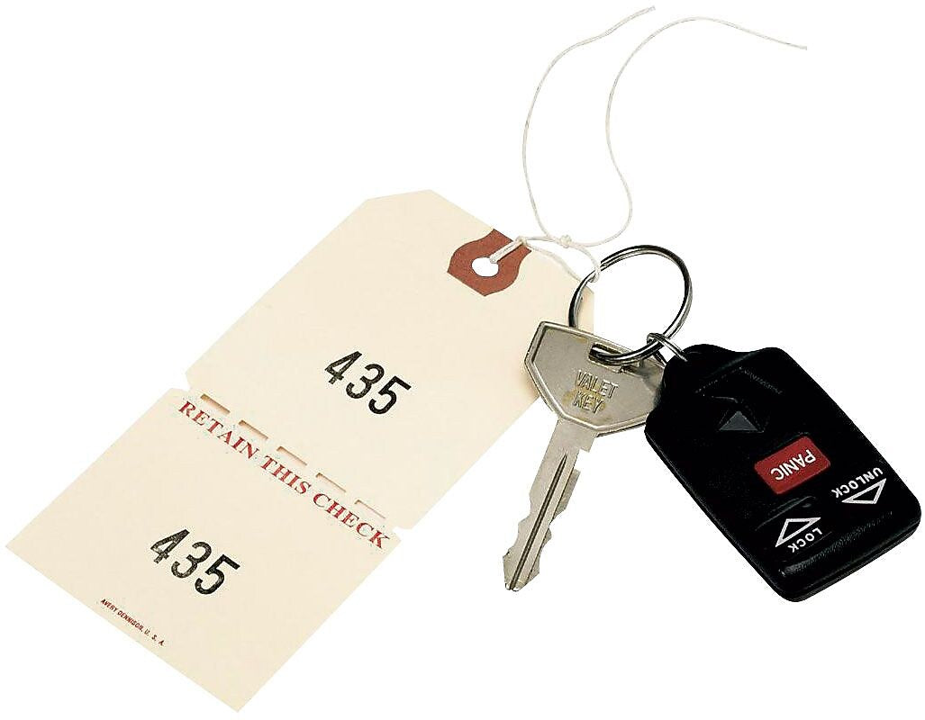 Avery 4.75" Auto Park Tags, Manila, 500/Box (18670)