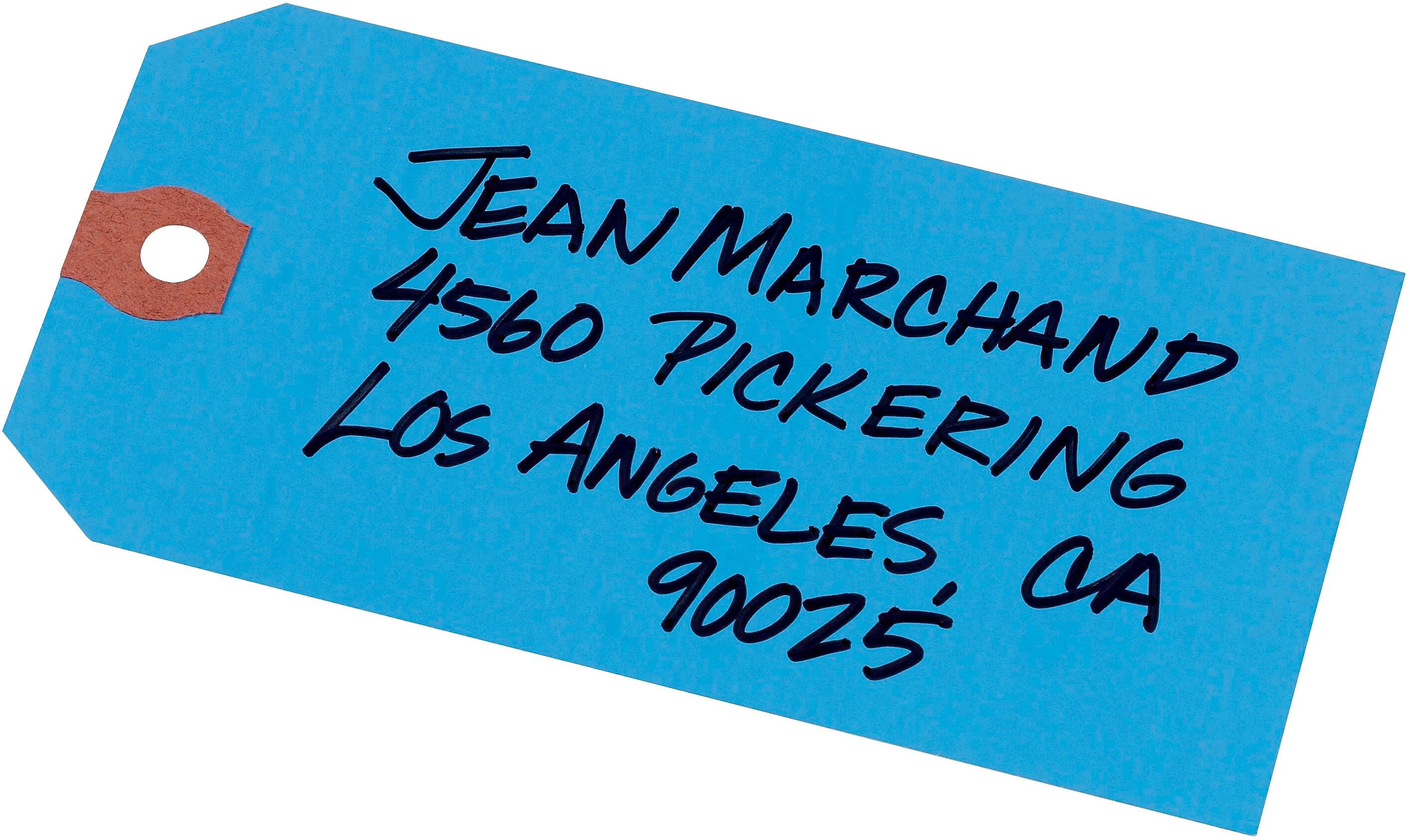 Avery Tags, 2.38" x 4.75", Blue, 1000/Carton (12355)