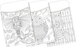 Barker Creek Color Me! Boho Library Pockets, 5.125" x 3.5", 30/Pack (BC1240)