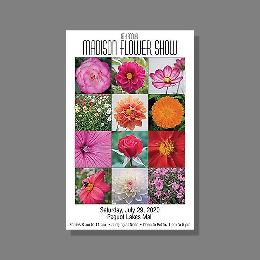 Large Sell Sheets / Posters, 11" X 17", Front Only, Qty 10