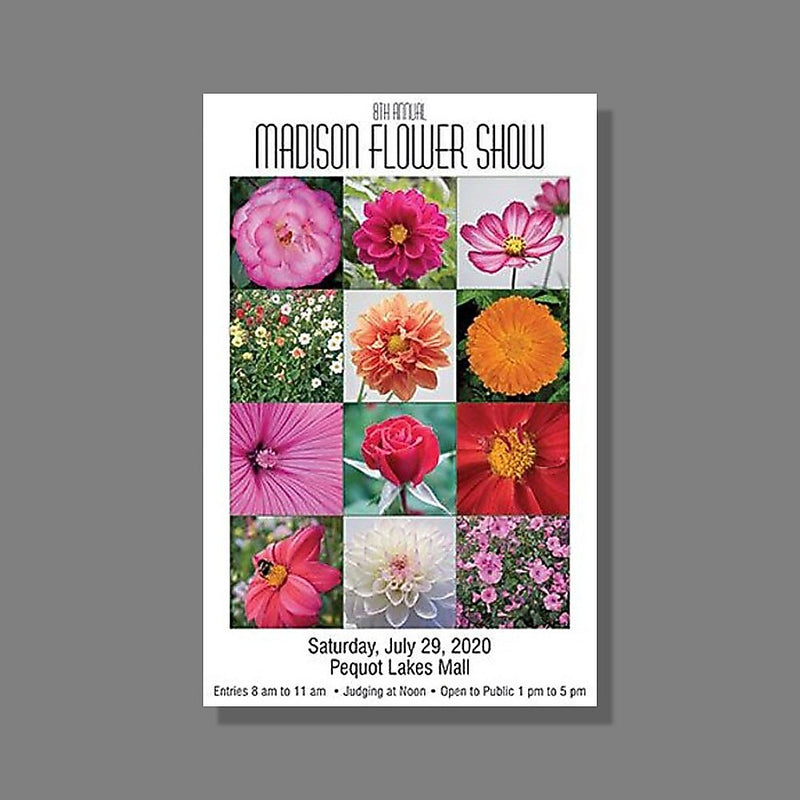 Large Sell Sheets / Posters, 11" X 17", Front Only, Qty 20