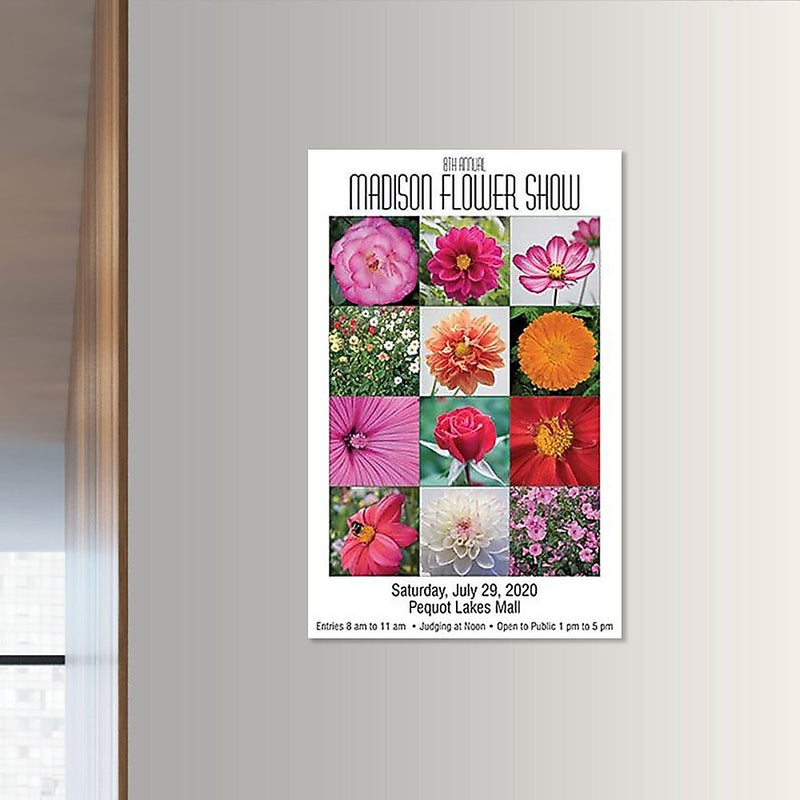 Large Sell Sheets / Posters, 11" X 17", Front Only, Qty 50