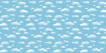 Fadeless Paper Roll, 48" x 50', Clouds (P0056465)