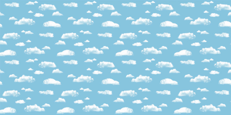 Fadeless Paper Roll, 48" x 50', Clouds (P0056465)