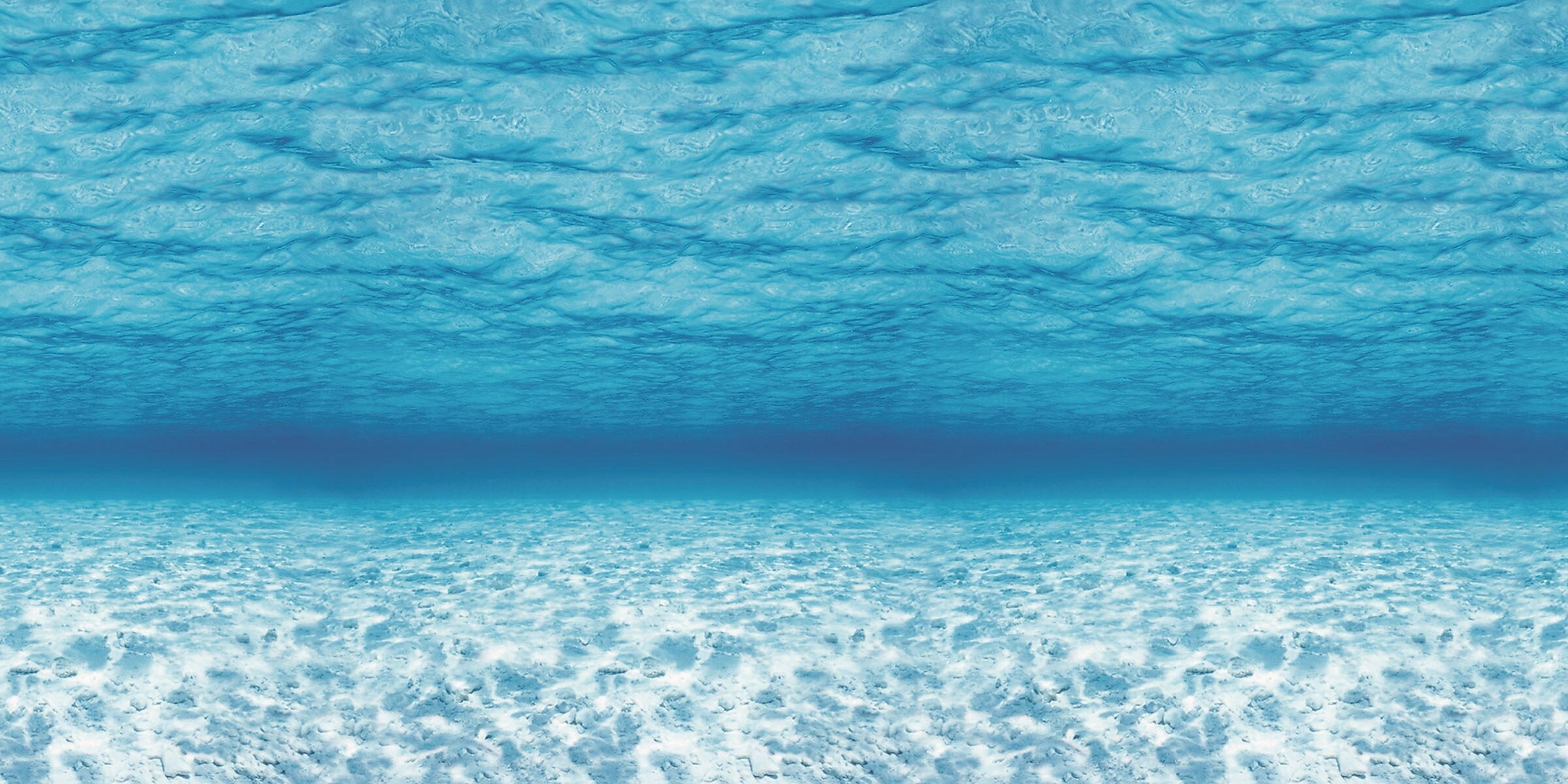 Pacon Fadeless Paper Roll, 48" x 50', Under The Sea (P0056525)