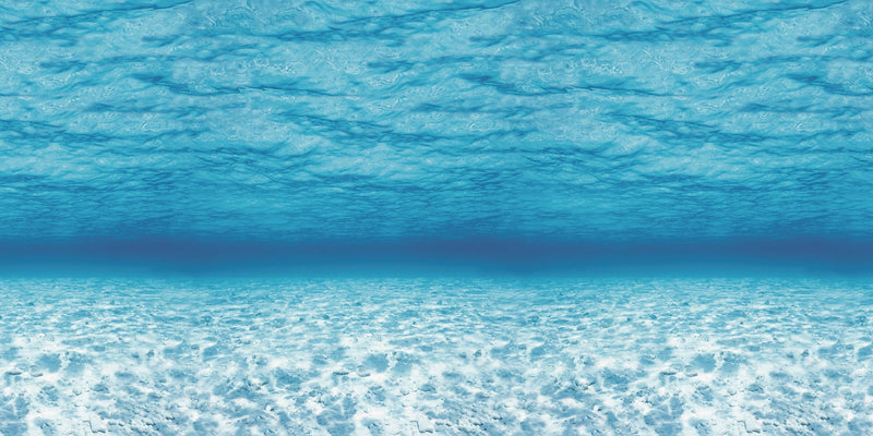 Pacon Fadeless Paper Roll, 48" x 50', Under The Sea (P0056525)