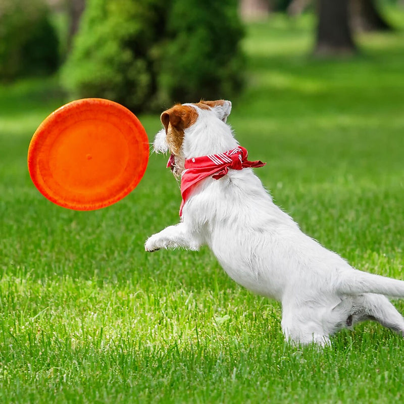 Flying Disc 9 Inch, Quantity 300