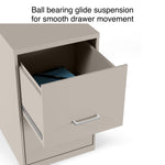 Staples 2-Drawer Vertical File Cabinet, Letter Size, Lockable, 24.1"H x 14.3"W x 18"D, Putty (ST52150-CC)