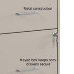 Staples 2-Drawer Vertical File Cabinet, Letter Size, Lockable, 24.1"H x 14.3"W x 18"D, Putty (ST52150-CC)