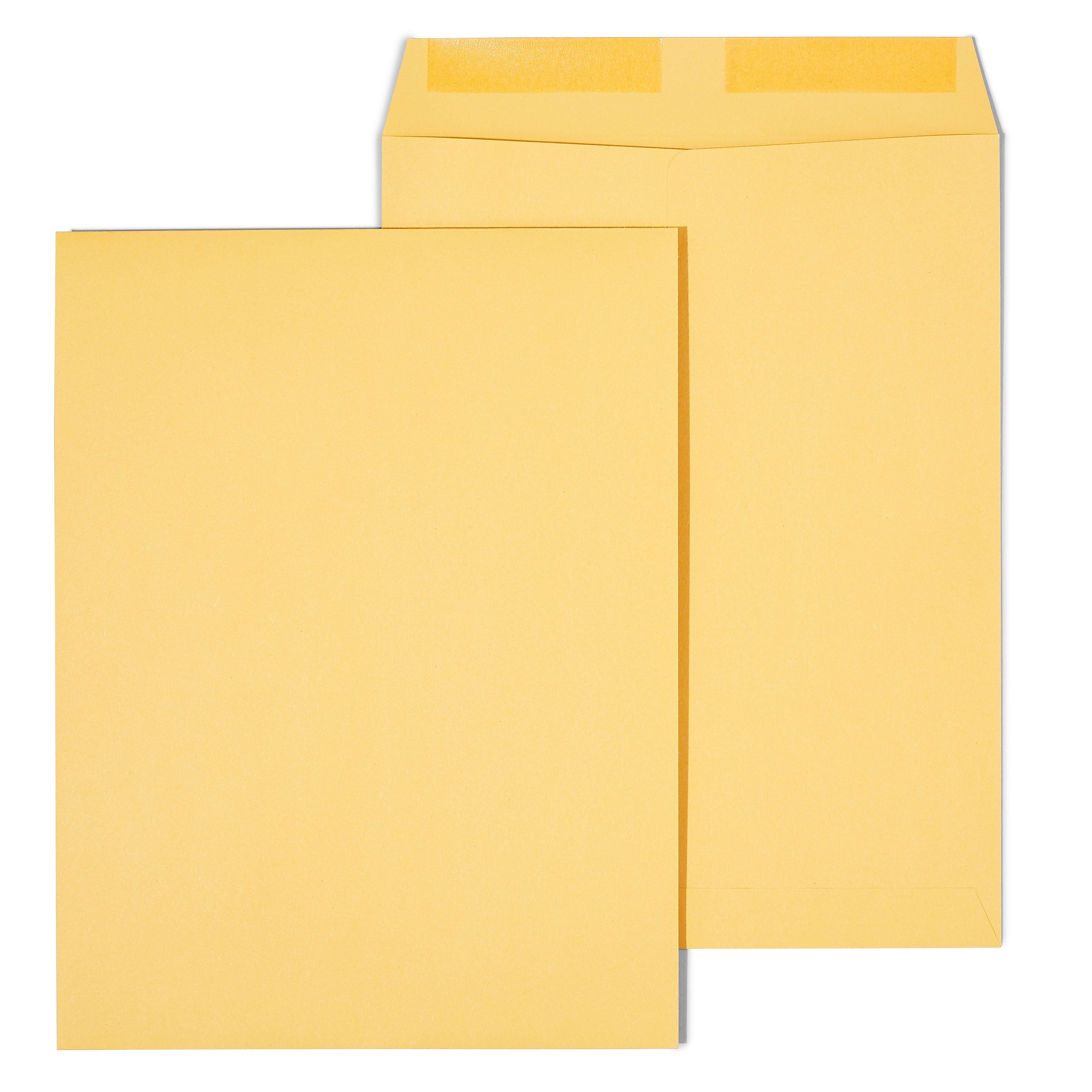 Staples Gummed Kraft Catalog Envelopes, 10"L x 13"H, Brown, 250/Box (486946/17033)
