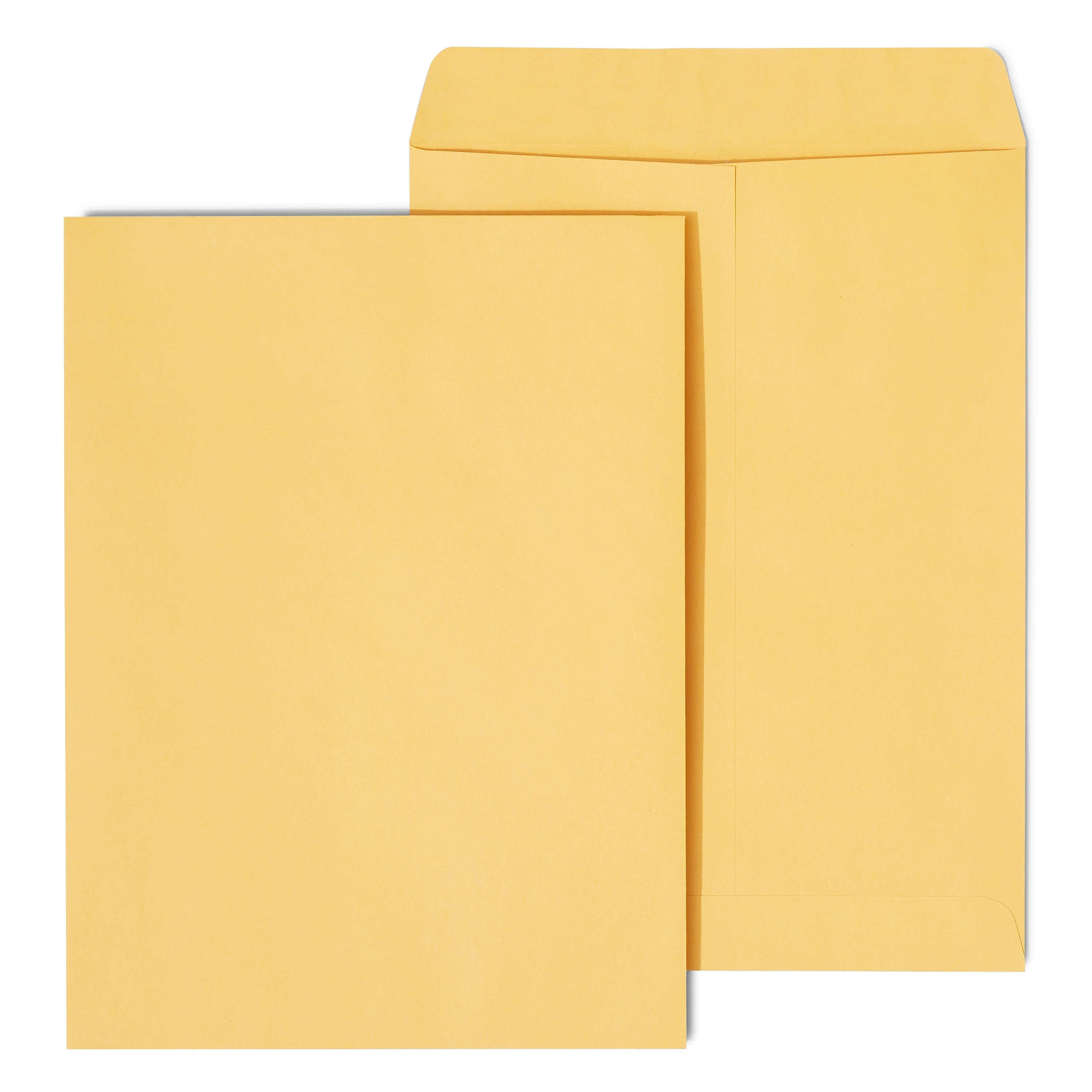 Staples Gummed Kraft Catalog Envelopes, 9"L x 12"H, Brown, 250/Box (486940/17032)