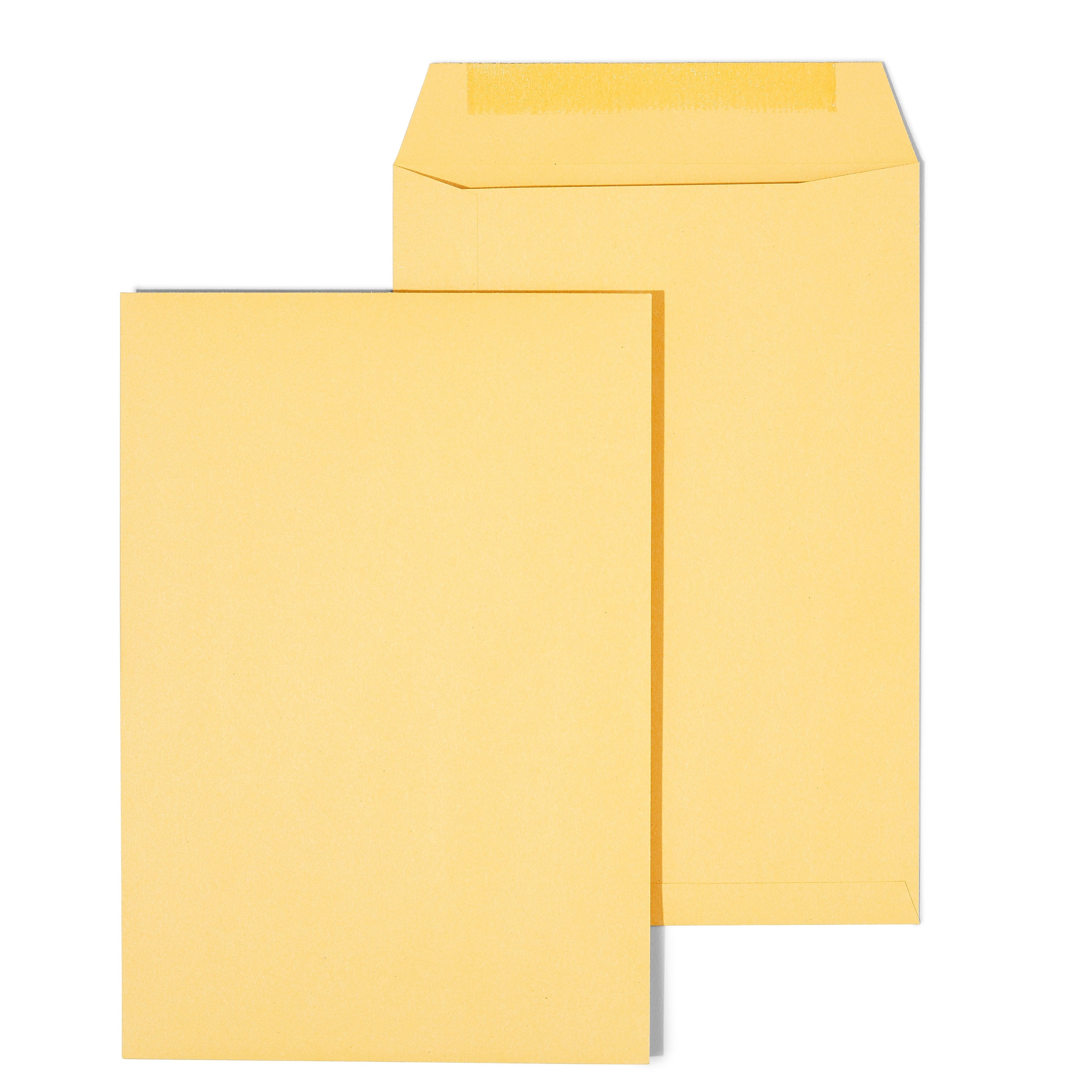 Staples Gummed Kraft Catalog Envelopes, 6.5" x 9.5", Brown, 100/Box (SPL534701)