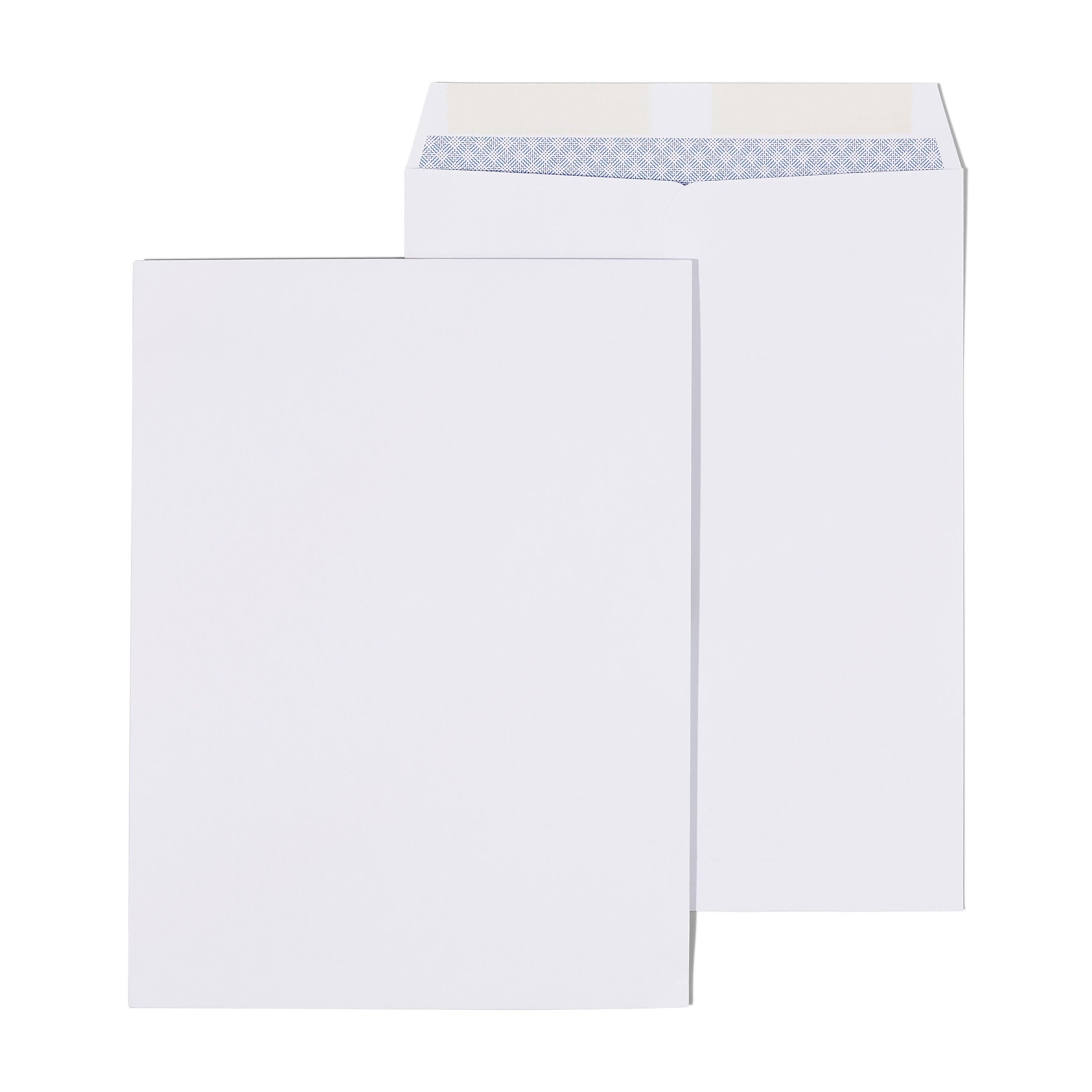 Staples Gummed Catalog Envelopes, 9" x 12", White, 25/Pack (ST579712N-CC)