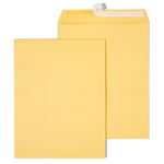 Staples EasyClose Kraft Catalog Envelopes, 10"L x 13"H, Brown, 250/Box (479889/14238)