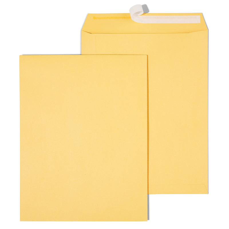 Staples EasyClose Kraft Catalog Envelopes, 10"L x 13"H, Brown, 250/Box (479889/14238)