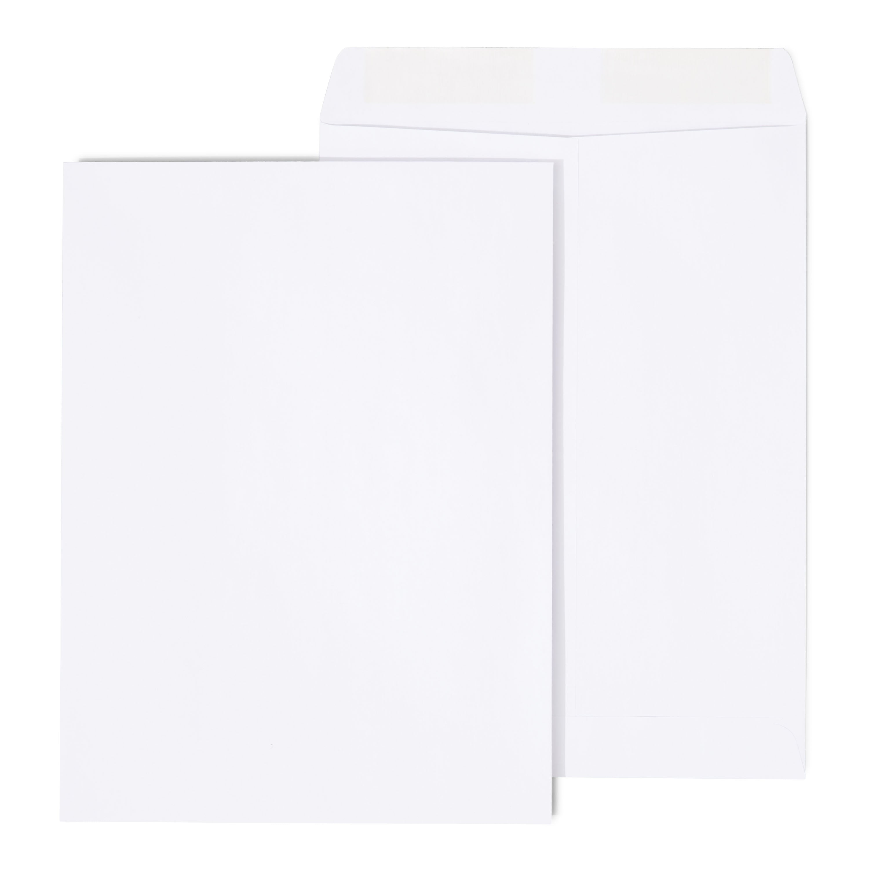 Staples Gummed Catalog Envelopes, 9"L x 12"H, White, 250/Box (486949R)