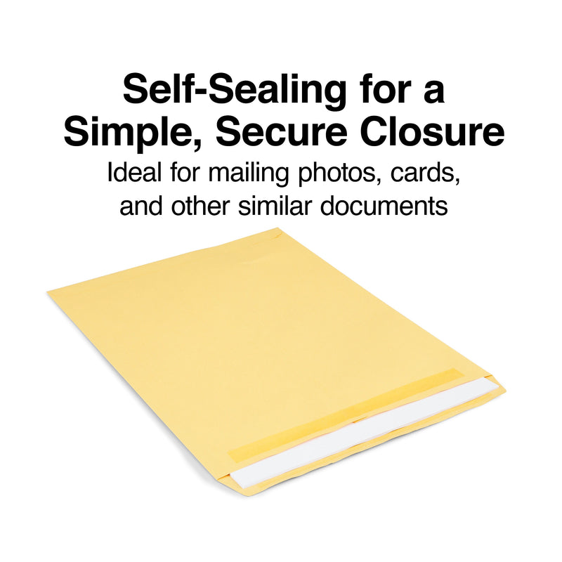 Staples Self Seal Kraft Catalog Envelopes, 12" x 15.5", Brown, 100/Box (534826/17102)