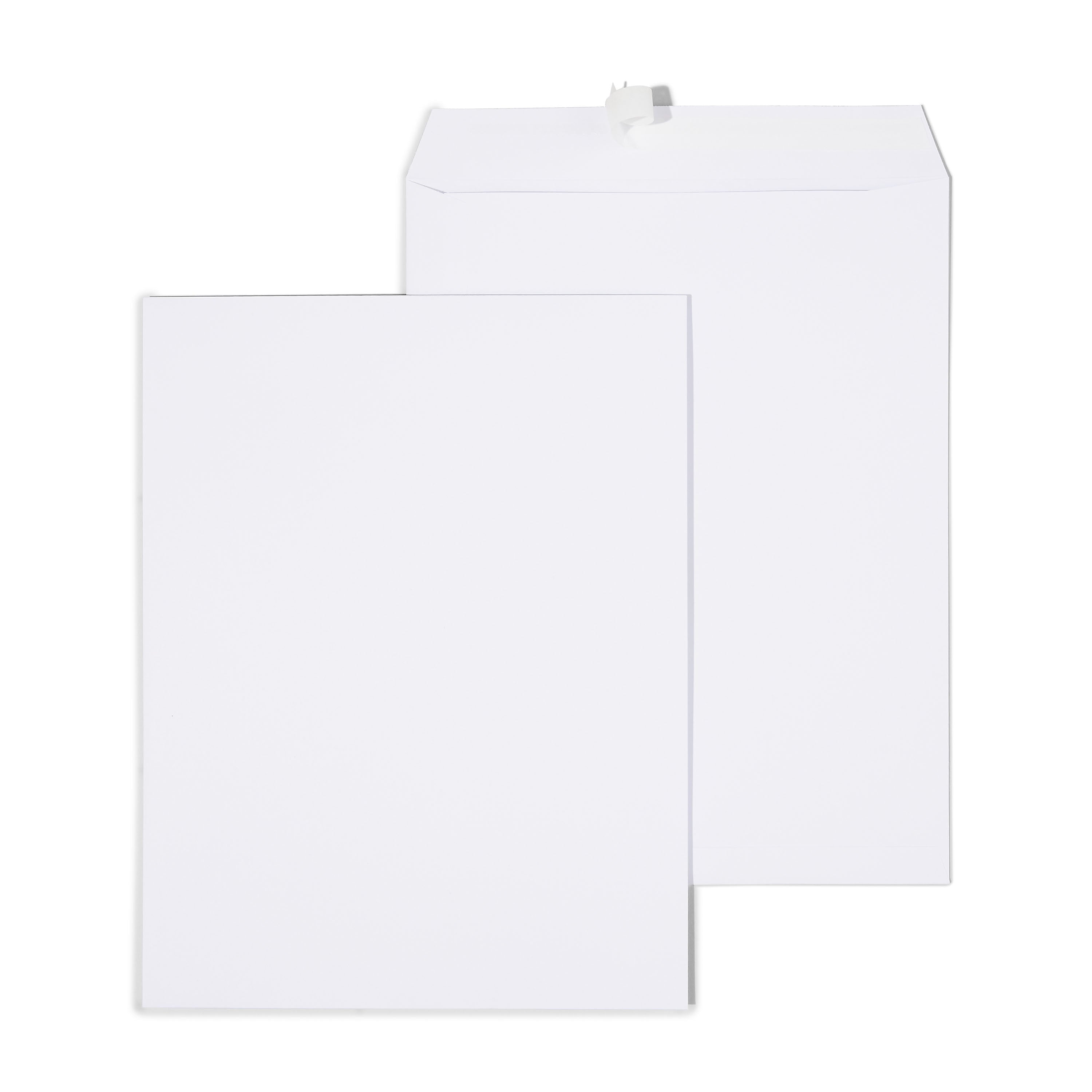 Staples Gummed Catalog Envelopes, 10"L x 13"H, White, 100/Box (295840N)