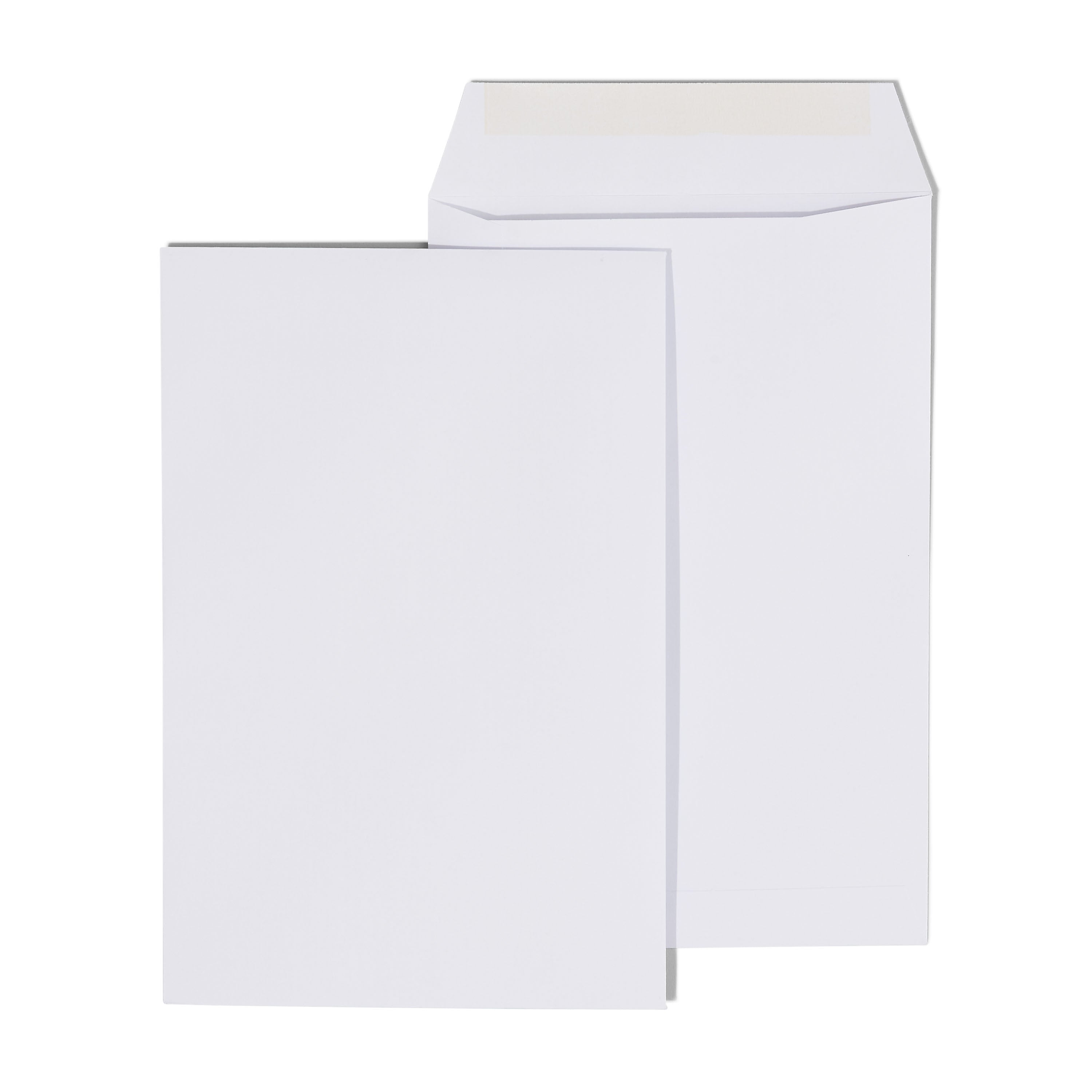 Staples Economy Gummed Catalog Envelopes, 6" x 9", White, 250/Box (50303T)
