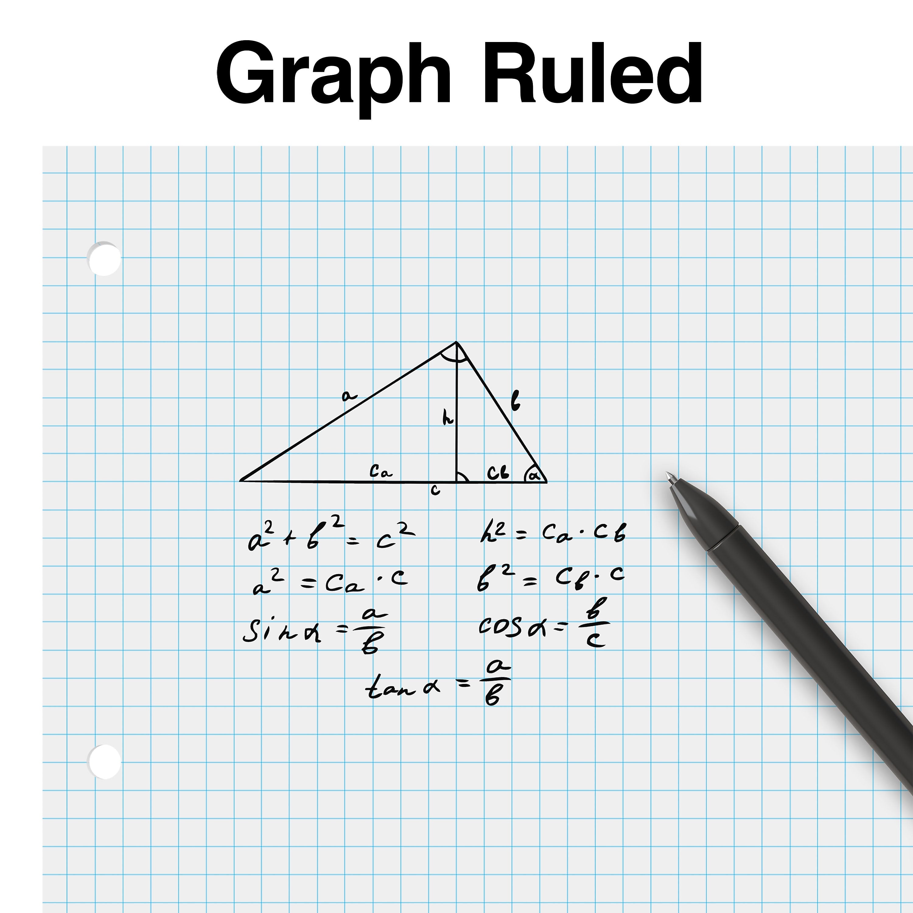 Staples® Graph Paper, 8" x 10.5", 80 Sheets/Pack, 24/Carton (40476CT)