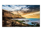 Samsung 49.5" Monitor for Digital Signage (QE50T)