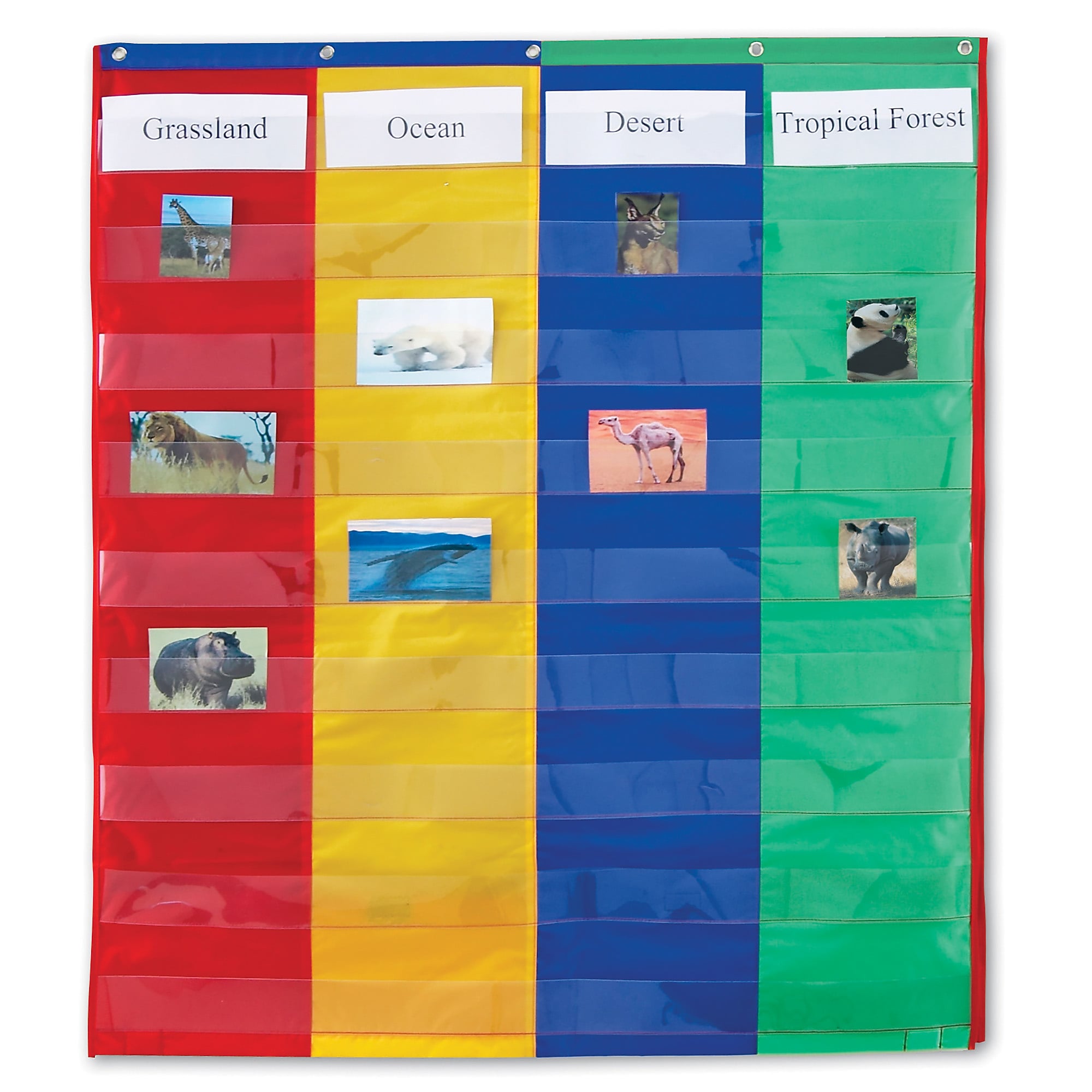 Learning Resources 11-Pocket Chart, 30" x 38" (LER2382)