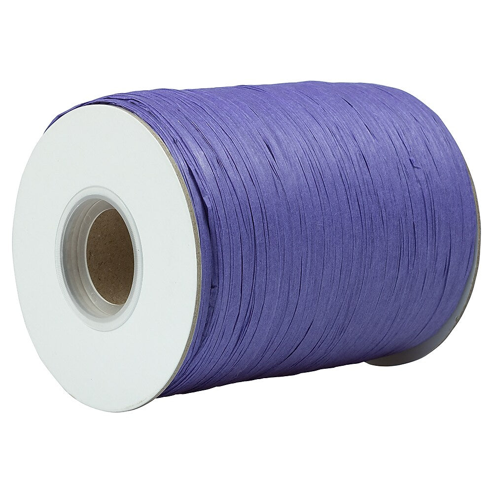 JAM Paper Raffia Ribbon, Purple (CO23527)