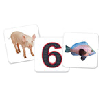 Learning Resources Vowel Owls Sorting Set, Grades PreK-4 (LER5460)
