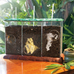 Educational Insights See-Through Compost Container (5095)