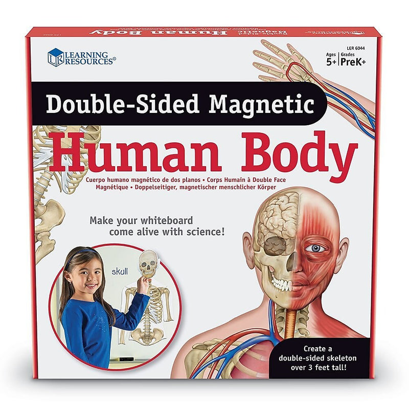 Learning Resources Double Sided Magnetic Human Body (LER6044)