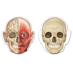 Learning Resources Double Sided Magnetic Human Body (LER6044)
