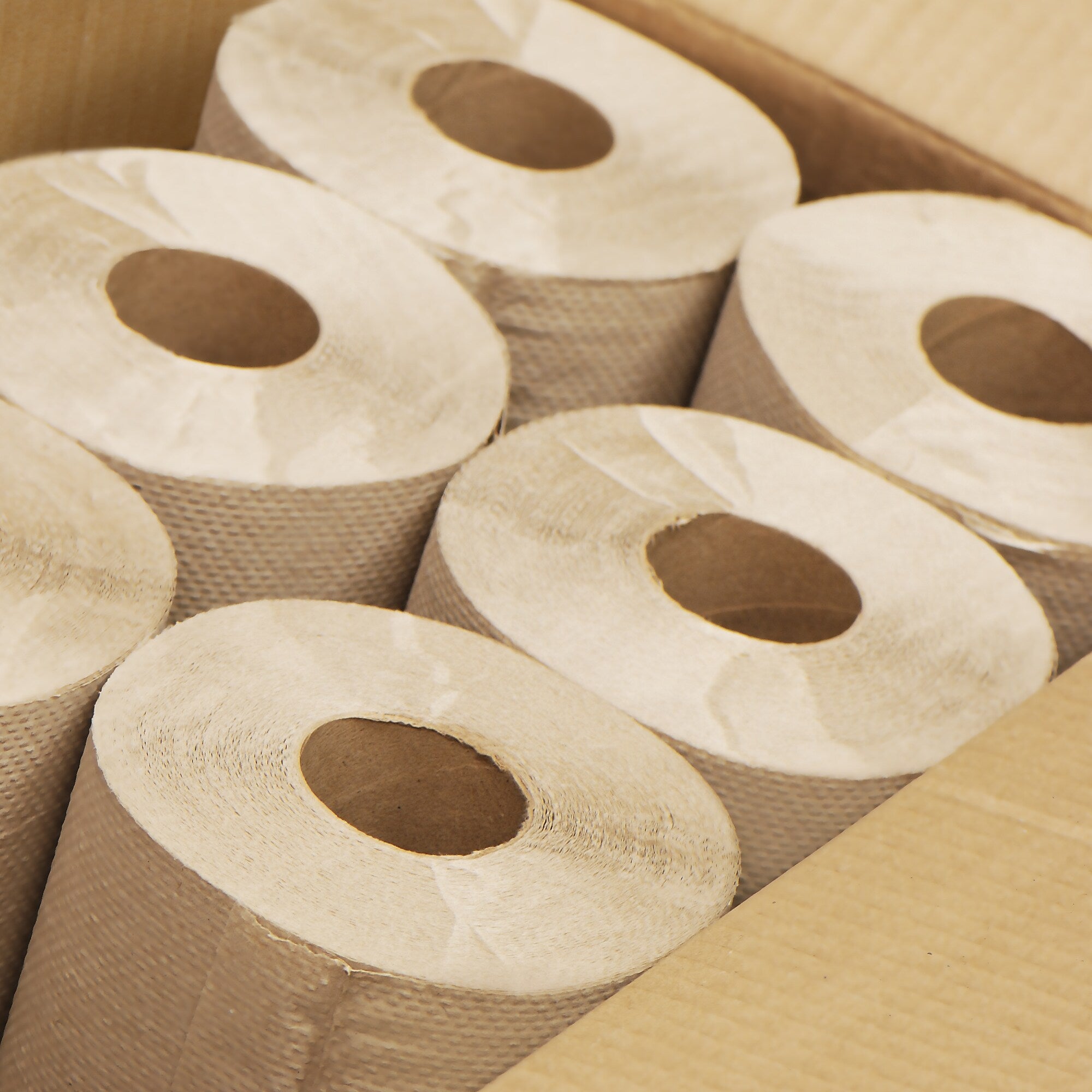 Scott Paper Towels, 1-ply (CW21812)