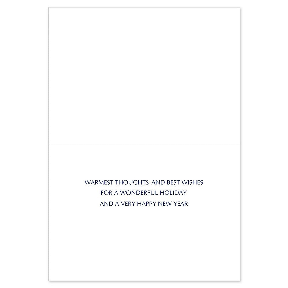 JAM PAPER Christmas Cards & Matching Envelopes Set, 7 6/7" x 5 5/8", Seas & Greetings, 18/Pack (526940900)