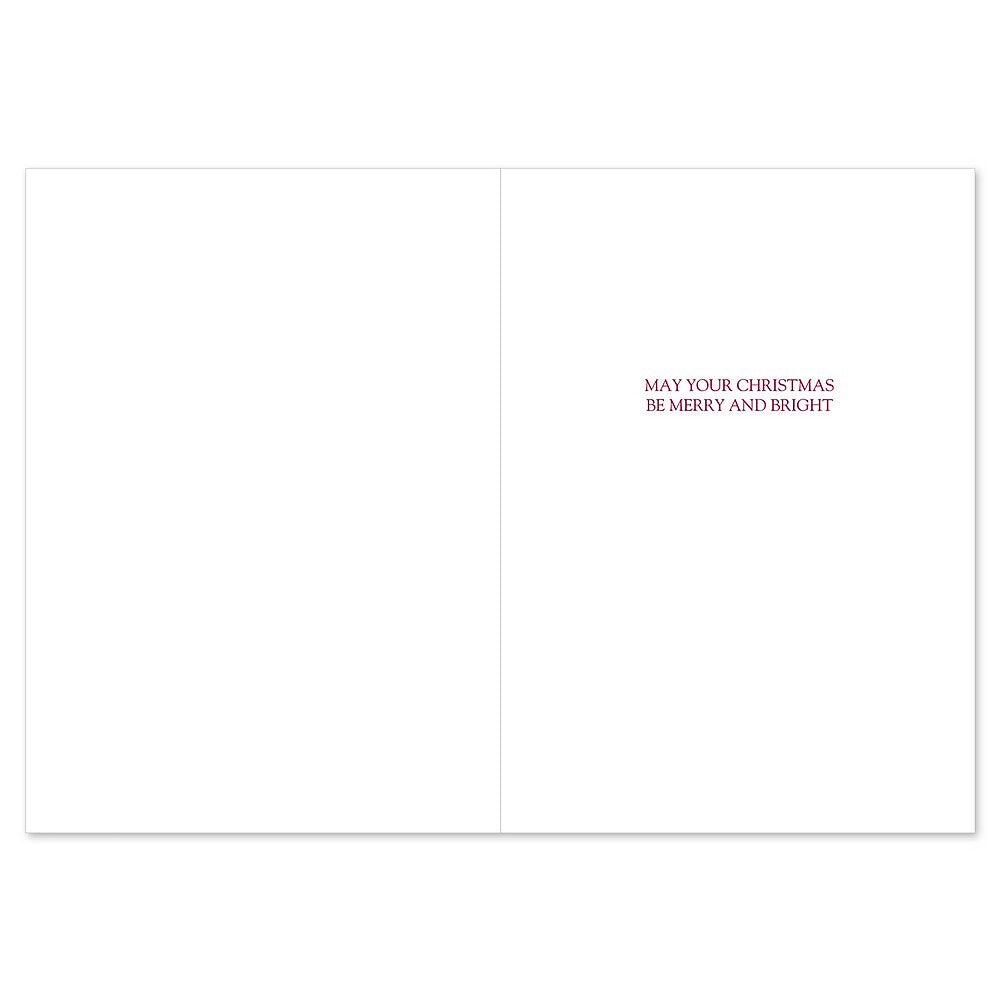 JAM PAPER Christmas Cards & Matching Envelopes Set, 7 6/7" x 5 5/8", Santa's Elegant Sleigh, 18/Pack (526938200)