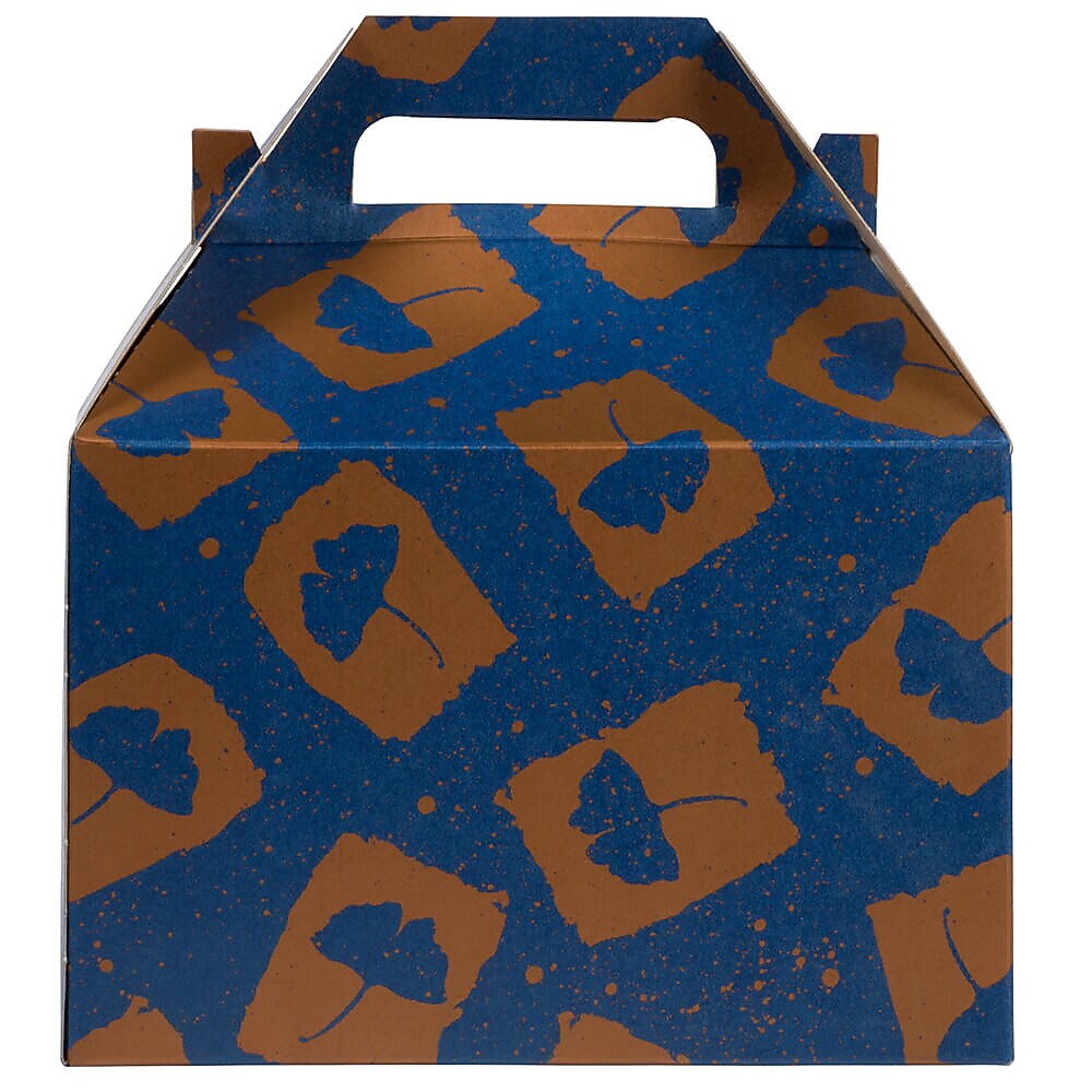 JAM PAPER Gable Gift Box with Handle, Medium, 4 x 8 x 5 1/4, Blue & Orange Flower Design