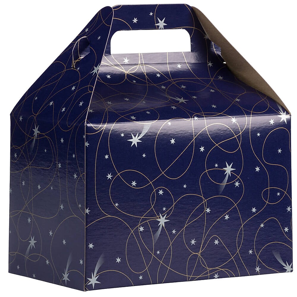 JAM PAPER Gable Gift Box with Handle, Medium, 4 x 8 x 5 1/4, Purple Shooting Stars Design