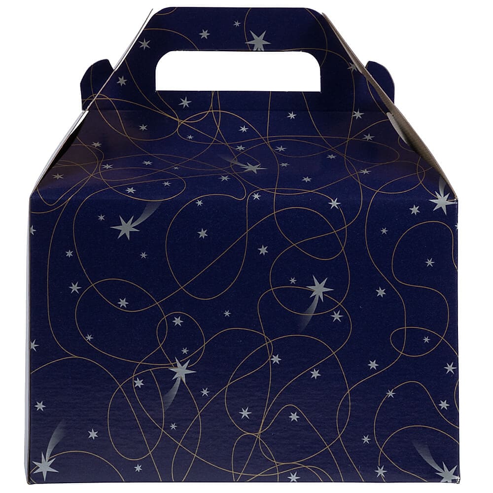 JAM PAPER Gable Gift Box with Handle, Medium, 4 x 8 x 5 1/4, Purple Shooting Stars Design