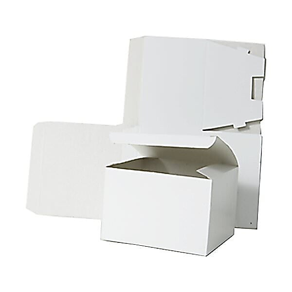 JAM Paper Gift Box with Open Lid, 9" x 4.5" x 4.5", White (4783848)