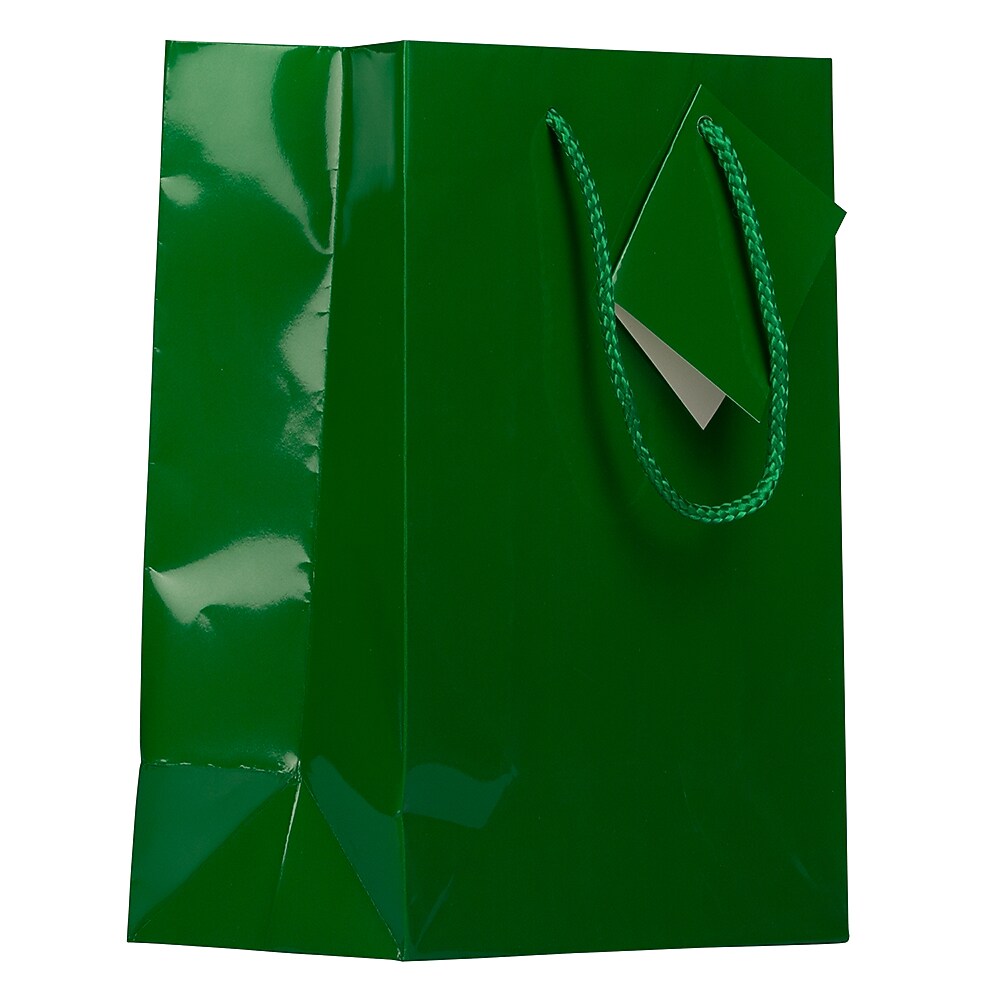JAM Paper Glossy Gift Bag with Rope Handles, 8" x 4" x 10", Green, 3 Bags/Pack (672GLGRB)