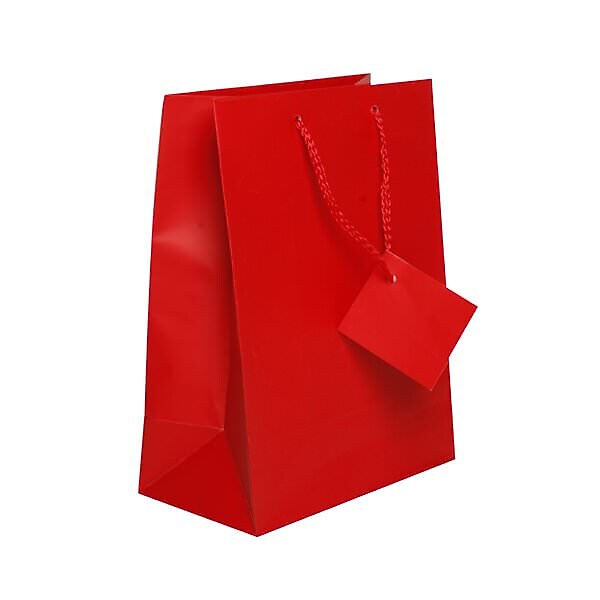 JAM Paper Gift Bags with Rope Handles, Medium, 8" x 10" x 4", Red Matte, 3/Pack (672MAREA)
