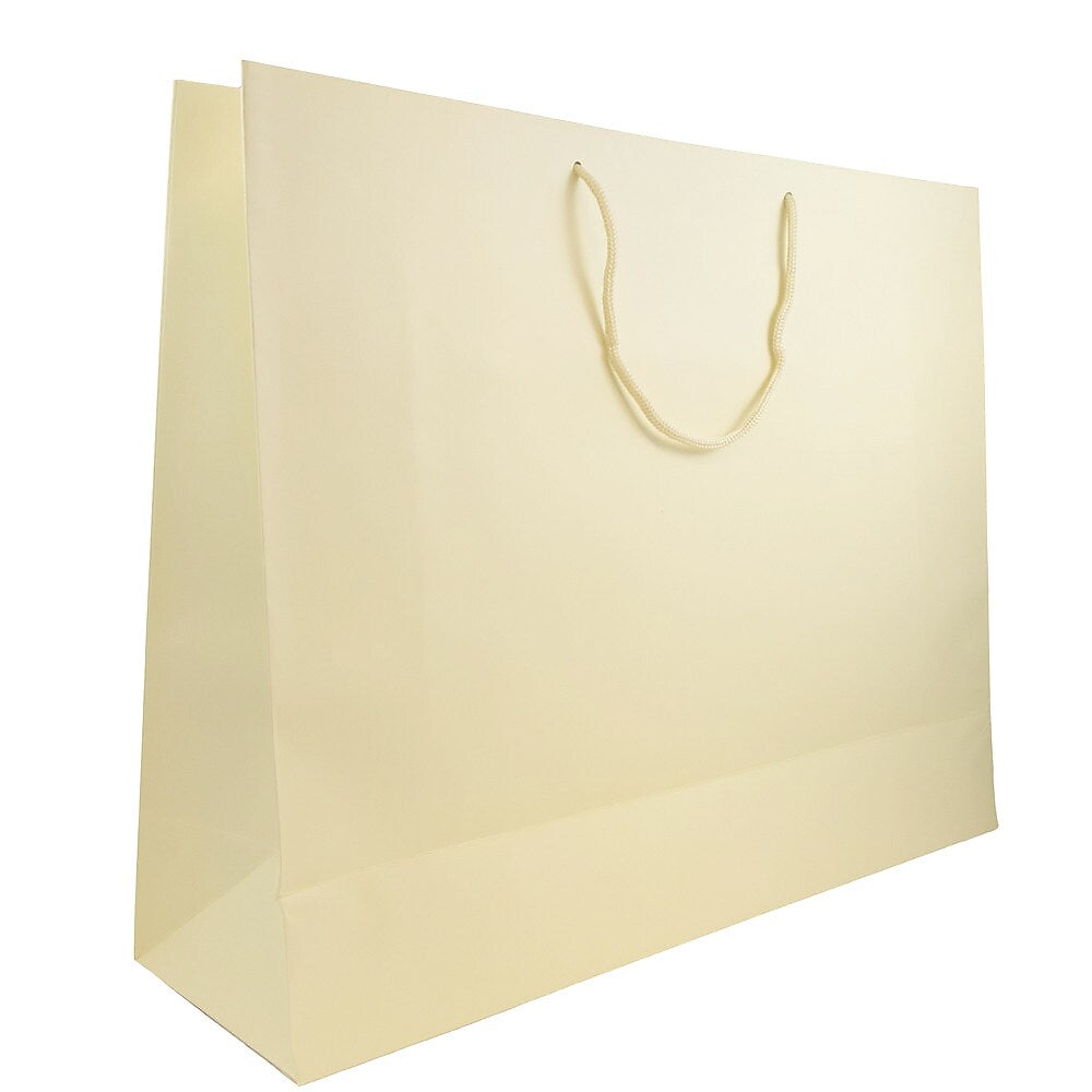 JAM Paper Gift Bags with Rope Handles, 20" x 16" x 6", Bronze Matte, 24/box (4431788B)