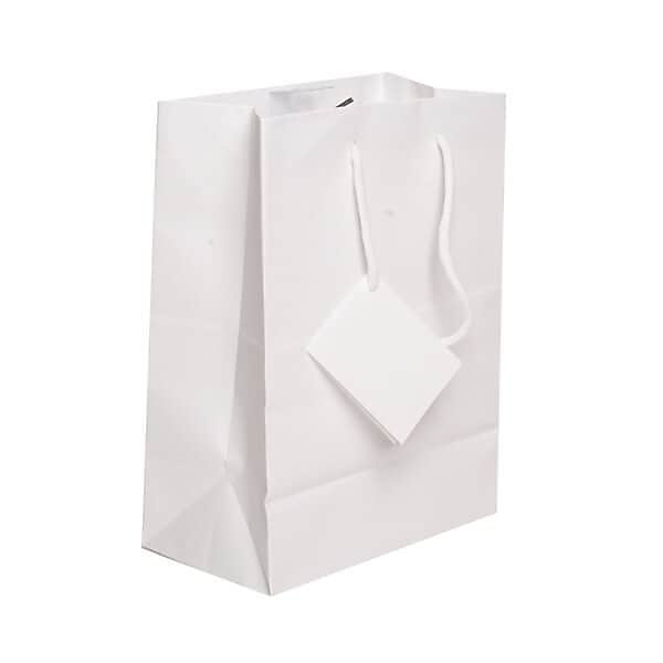 JAM Paper Matte Gift Bag with Rope Handles, 8" x 10" x 4", White, 3 Bags/Pack (672MAWHA)