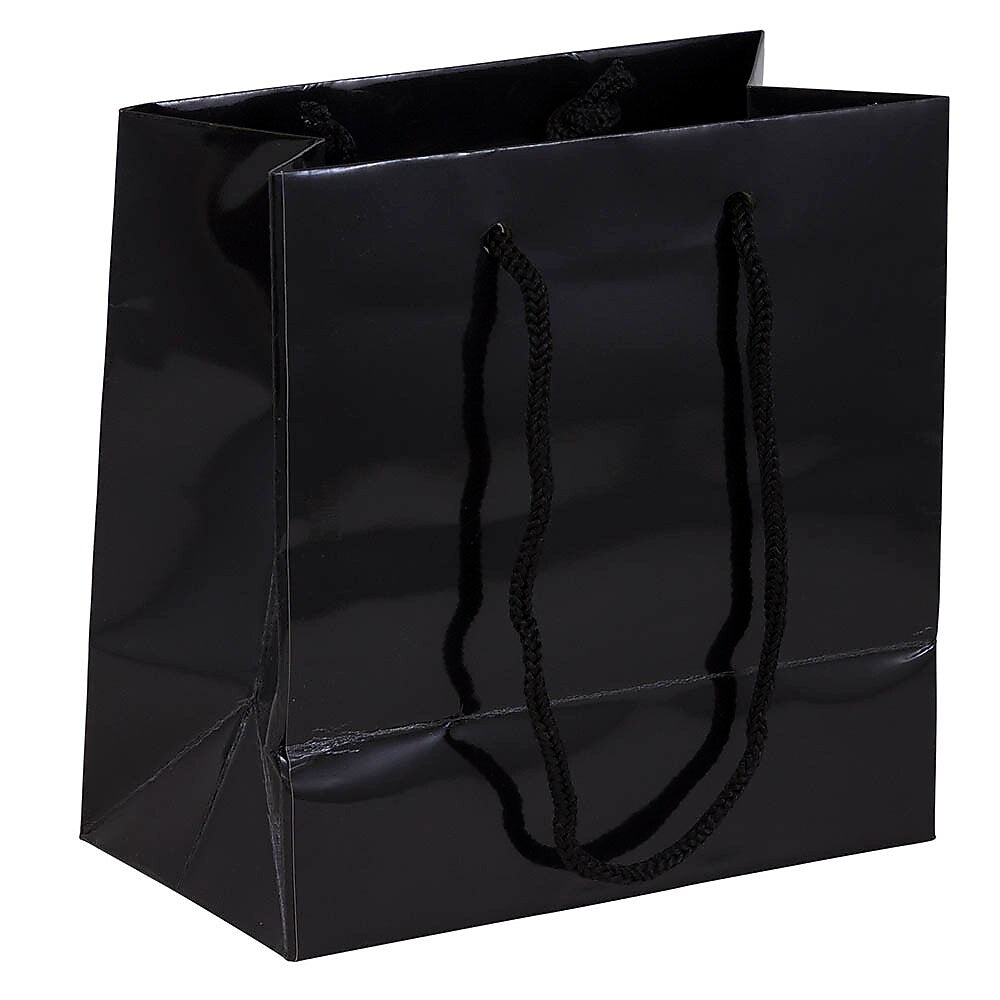 JAM Paper Glossy Gift Bag with Rope Handles, 6.5" x 6.5" x 3.5", Black, 100 Bags/Pack (896GLBL100)